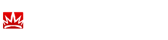 light logo